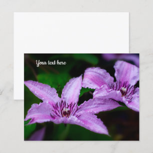 Lila Clematis-Postkarte Postkarte