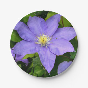 Lila Clematitis-Papierplatte Pappteller
