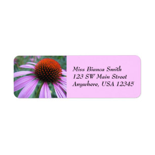Lila Coneflower Adressen-Etiketten
