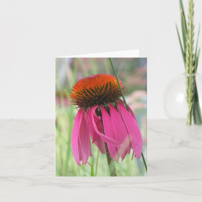 Lila Coneflower Anmerkungs-Karte Karte (Vorderseite)