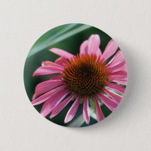 Lila Coneflower Knopf Button