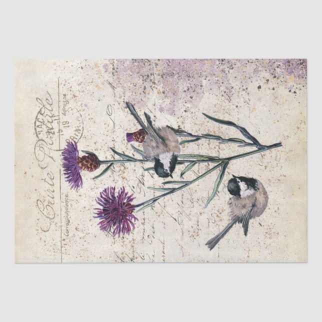 Lila Cornflower Chickadee Bird-Drehbuch Seidenpapier (Vorderseite)