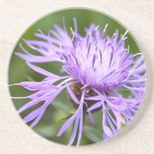 Lila Cornflower Sandstein Untersetzer