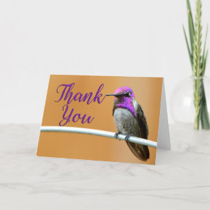 Lila Costa's Hummingbird Danke Karte