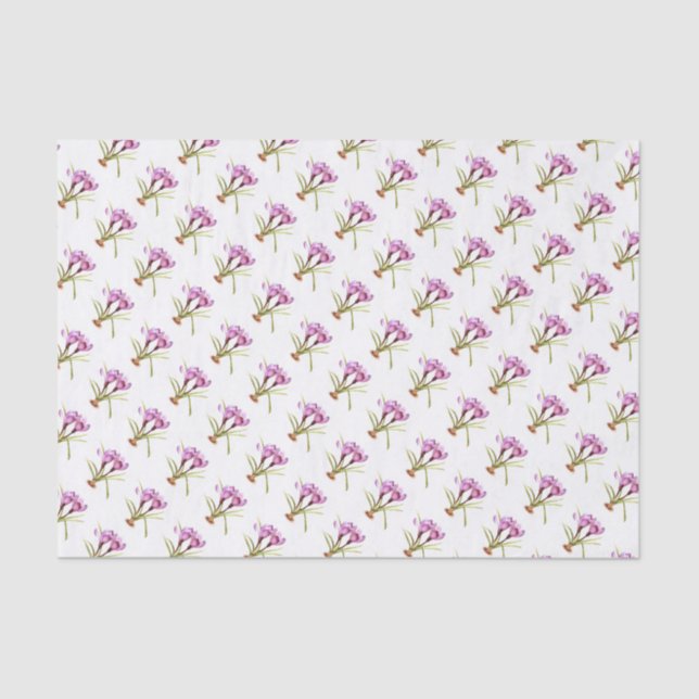 Lila Crocus Aquarellpapier Seidenpapier (Vorderseite)
