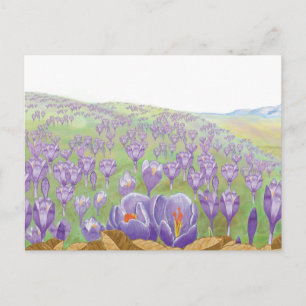 Lila Crocus-Blume auf der Frühjahrshügel-Illustrat Postkarte
