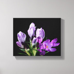 Lila Crocus-Blume besticht durch moderne digitale Leinwanddruck