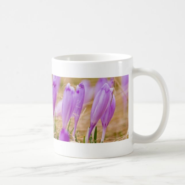 Lila Crocus-Blume im Gras Kaffeetasse (Rechts)