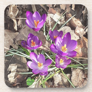 Lila Crocus Hard Plastic Untersetzer
