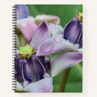 Lila Crown Blume Notebook Notizbuch