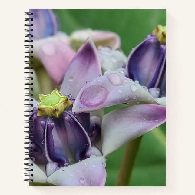 Lila Crown Blume Notebook Notizbuch (Vorderseite)