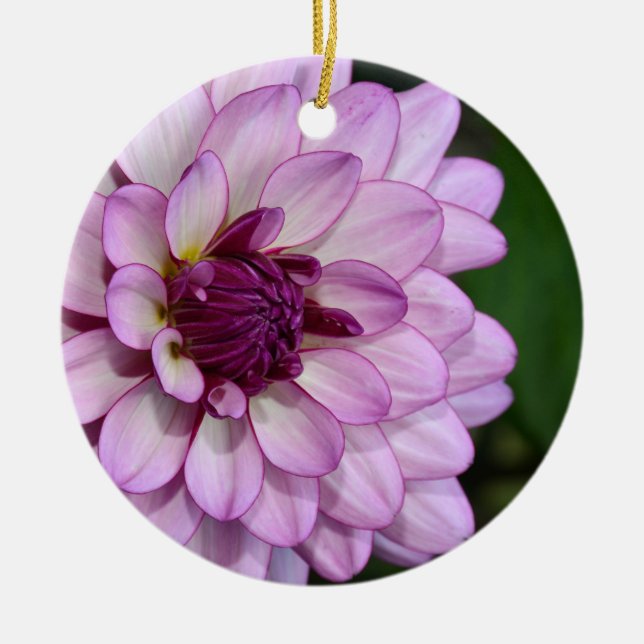 Lila Dahlia Blume Blüten Weihnachtsschmuck (Vorne)
