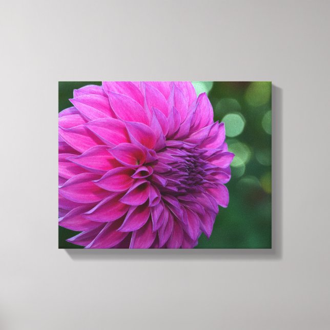 Lila Dahlia-Blume Leinwanddruck (Vorderseite)