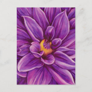 Lila Dahlia Blume Originale Kunst Postkarte