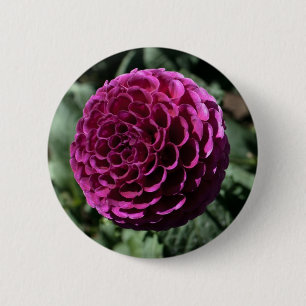 Lila Dahlia Button