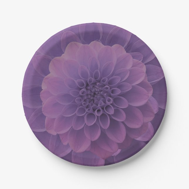 Lila Dahlia Pappteller (Vorderseite)