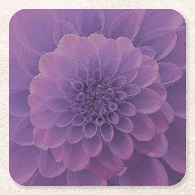 Lila Dahlia Rechteckiger Pappuntersetzer (Vorderseite)