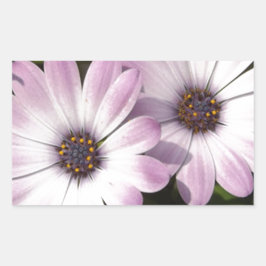 Lila Daisies Rechteckiger Aufkleber