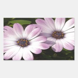 Lila Daisies Rechteckiger Aufkleber