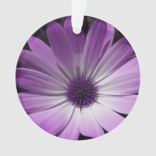 Lila Daisy Blume Akrylorische Ornamente