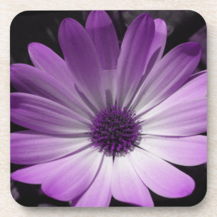 Lila Daisy Blume Cork Untersetzer