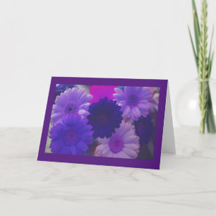 Lila Daisy Blume Foto Gruß oder Mitteilungskarten
