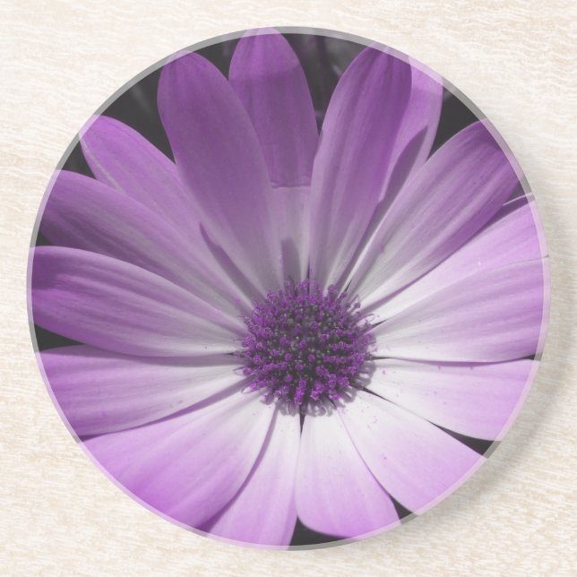 Lila Daisy Blume Untersetzer (Vorne)