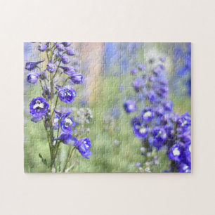 Lila Delphinium-Blume Naturfotografie Garten