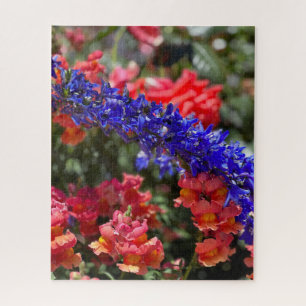 Lila Delphinium und orangefarbene Löwenmaul, Palo