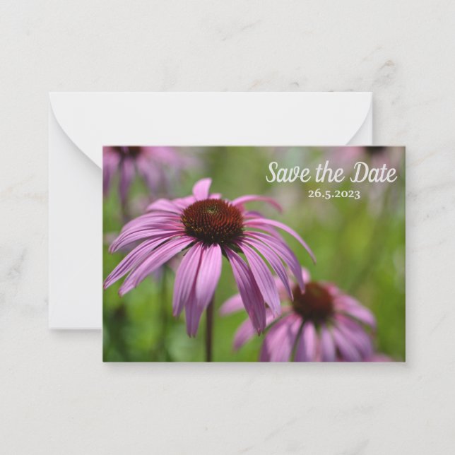 Lila Echinacea-Kone-Blume Save the Date Mitteilungskarte (Vorderseite)