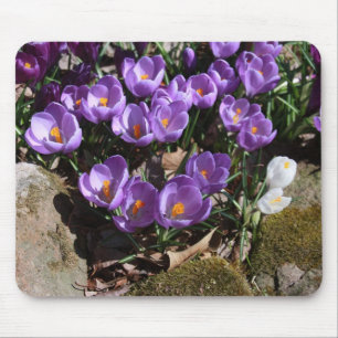Lila Edelsteine Mousepad