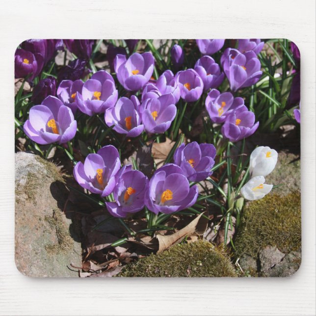 Lila Edelsteine Mousepad (Vorne)