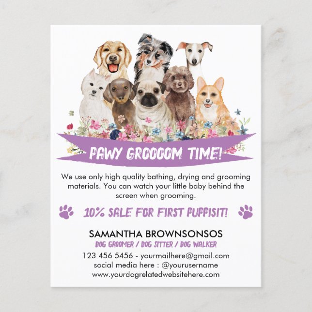 Lila Einfaches Illustriertes Dogengroomer Flyer (Vorne)