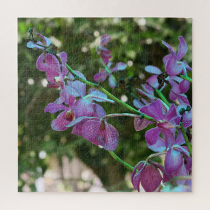 lila,exotisch, Blatt, Sommer,Rätsel, floral,