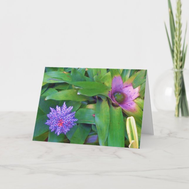 Lila exotische Blüten-Pflanzen-Gruß-Karte Karte (Vorderseite)