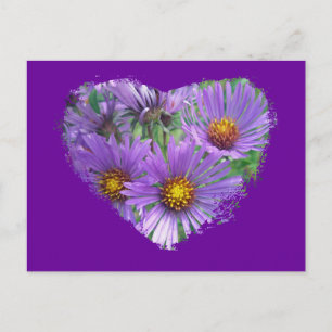 Lila Fall Asters-Wildblume-Matching-Elemente Postkarte