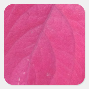 Lila Fall Leaf Quadratischer Aufkleber
