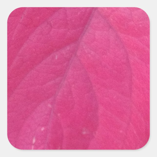 Lila Fall Leaf Quadratischer Aufkleber (Vorderseite)