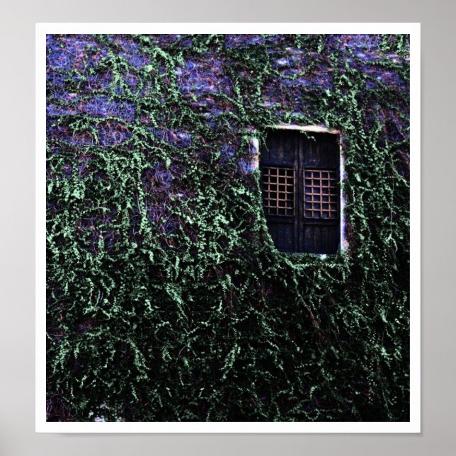 Lila Fenster ~ Poster / Print (Vorne)