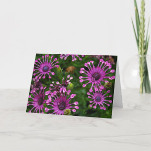 Lila Feuerwerk-Blumen Karte