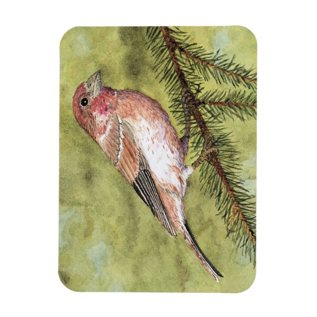 Lila Finch Magnet (Vertikal)