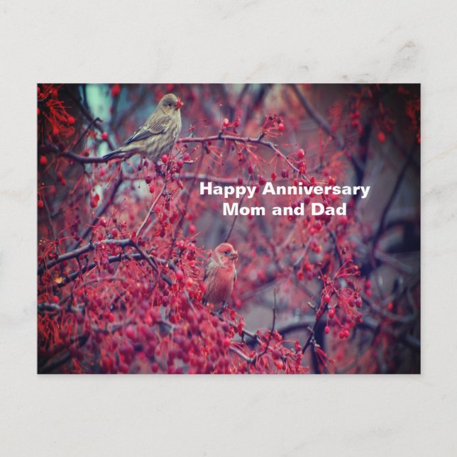 Lila Finken Postkarte (Vorderseite)