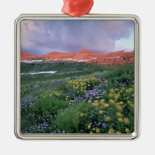 Lila Fleaban (Erigeron peregrinus) und Gelb Ornament Aus Metall