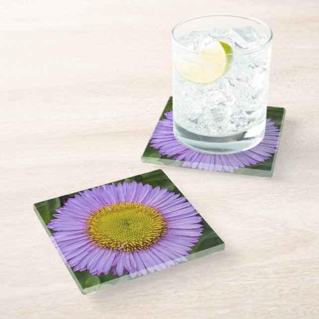 Lila Fleabane Daisy Floral Glasuntersetzer (Schrägansicht)
