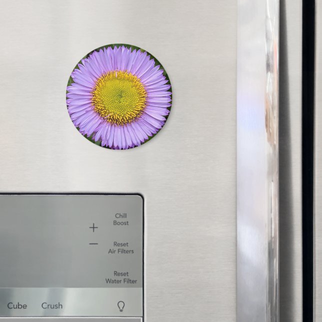 Lila Fleabane Daisy Floral Magnet (In Situ (Kühlschrank))