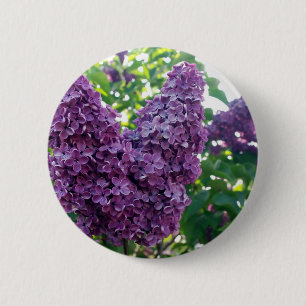 Lila Flieder-runder Knopf Button
