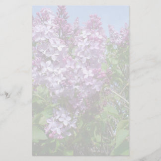 Lila Fliedern Fade25 Briefpapier