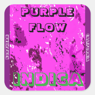 LILA FLOW INDICA QUADRATISCHER AUFKLEBER