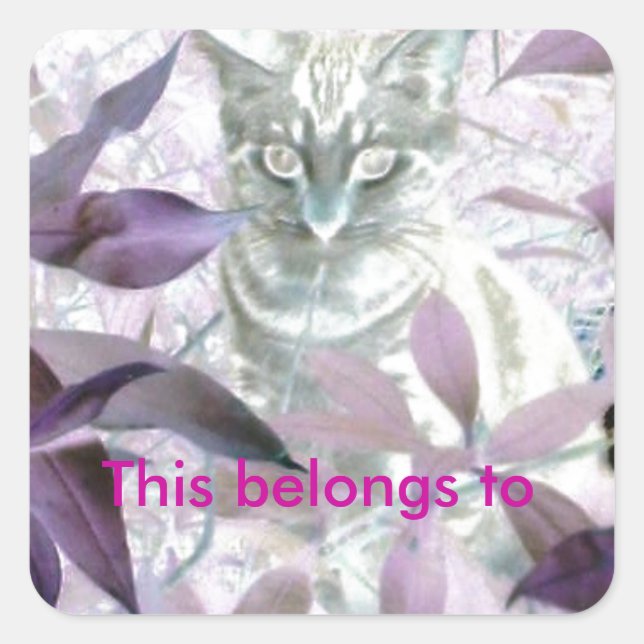 Lila Foliage Kitty Quadratischer Aufkleber (Vorderseite)
