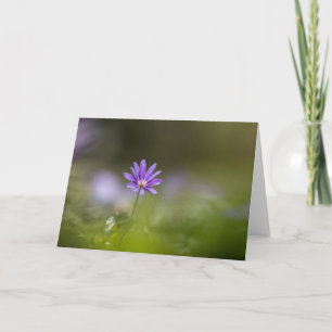 Lila Foto der Windblumen Karte